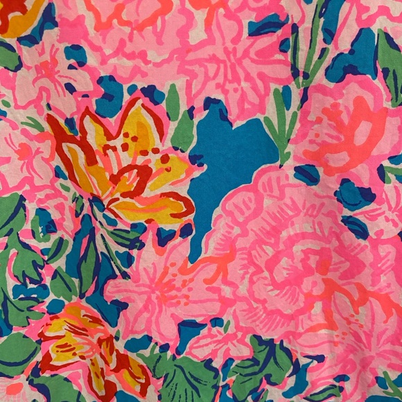 Lilly Pulitzer Dress - NWOT - Picture 3 of 6